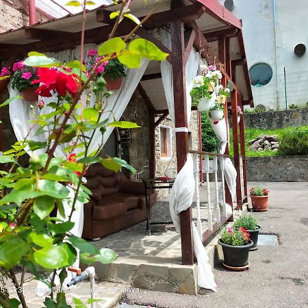 Casa Olguta Appartamento Sinaia Esterno foto