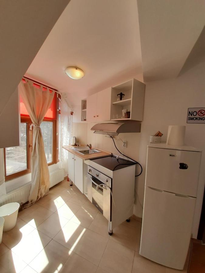 Casa Olguta Appartamento Sinaia Esterno foto