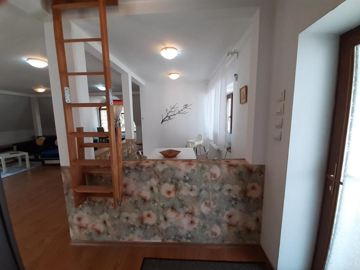 Casa Olguta Appartamento Sinaia Esterno foto