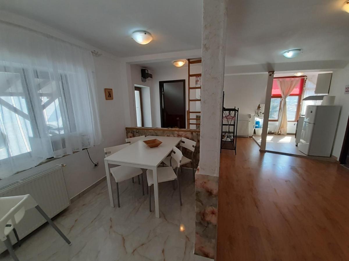 Casa Olguta Appartamento Sinaia Esterno foto