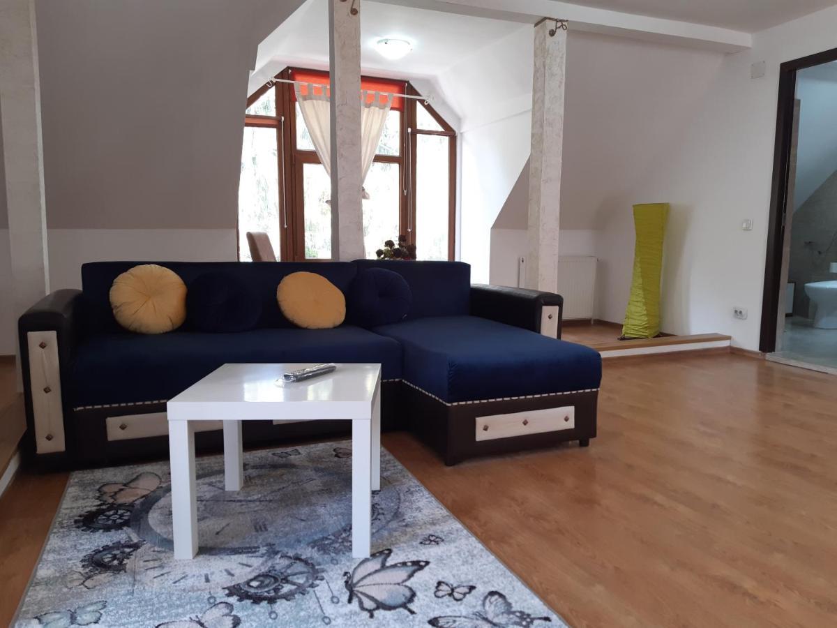 Casa Olguta Appartamento Sinaia Esterno foto