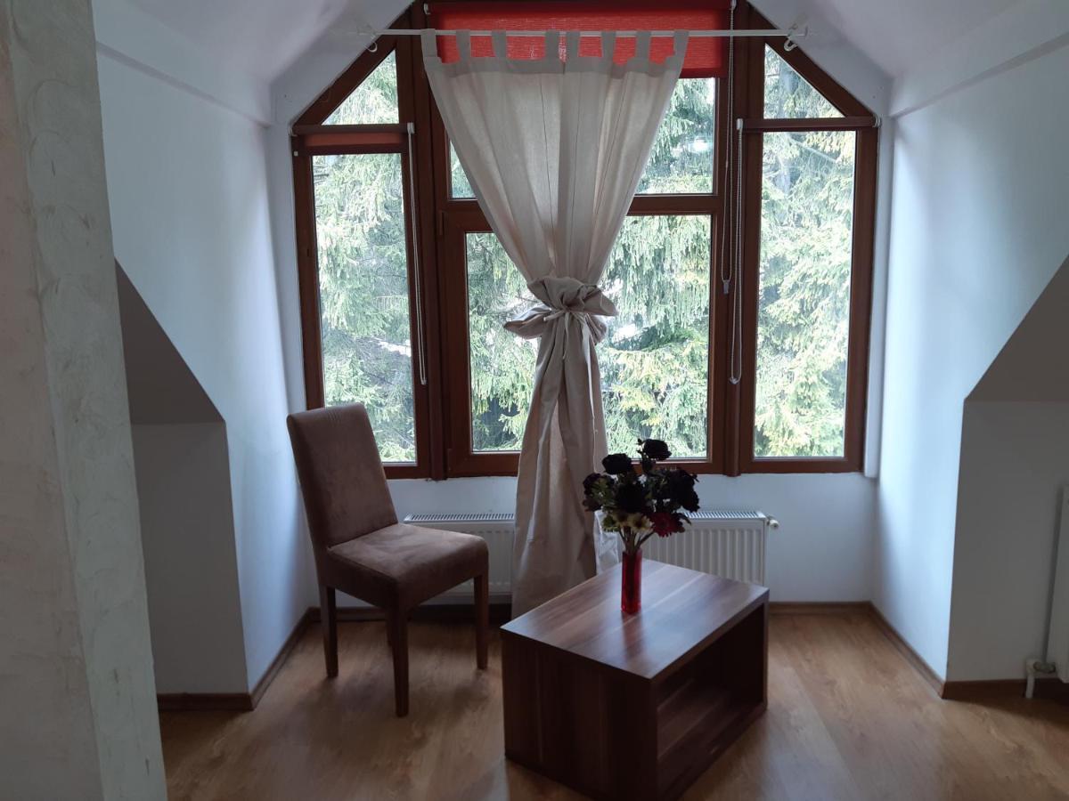 Casa Olguta Appartamento Sinaia Esterno foto