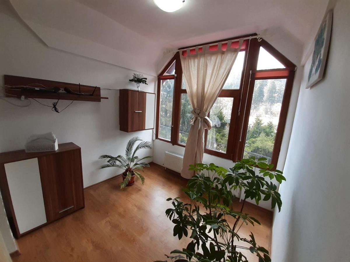 Casa Olguta Appartamento Sinaia Esterno foto