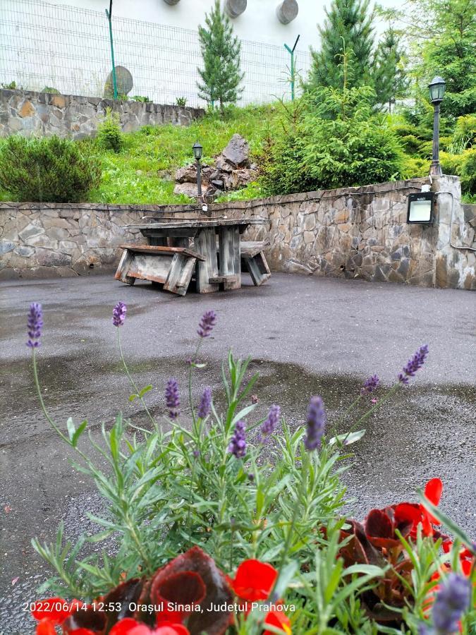 Casa Olguta Appartamento Sinaia Esterno foto