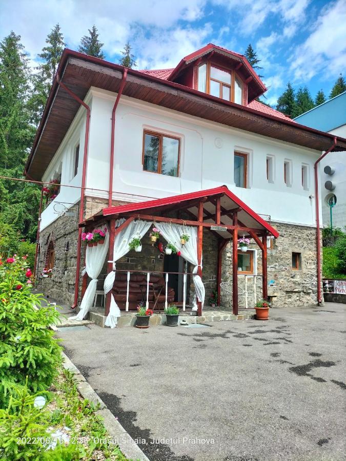 Casa Olguta Appartamento Sinaia Esterno foto