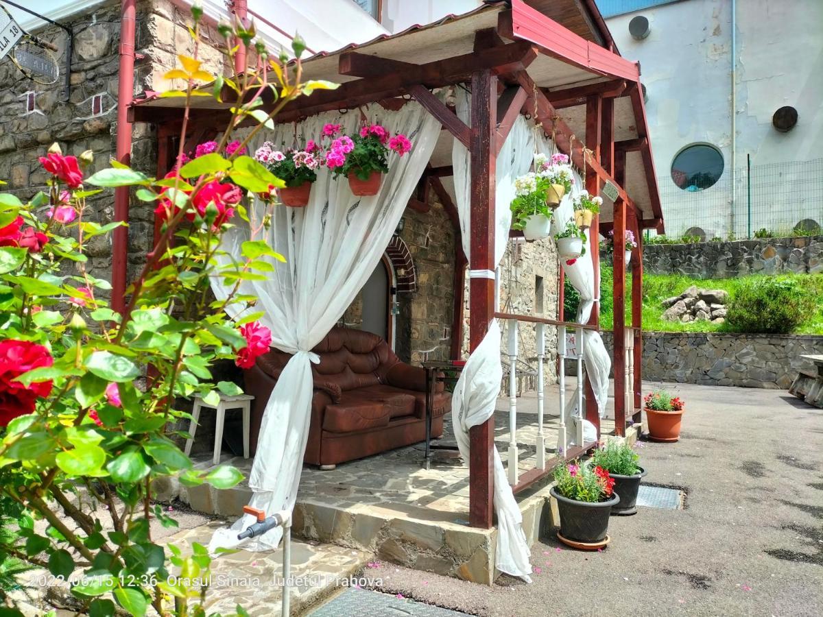 Casa Olguta Appartamento Sinaia Esterno foto