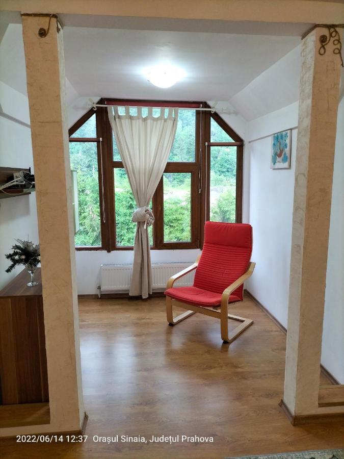 Casa Olguta Appartamento Sinaia Esterno foto
