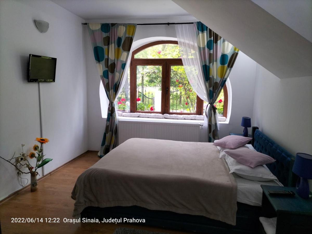 Casa Olguta Appartamento Sinaia Esterno foto