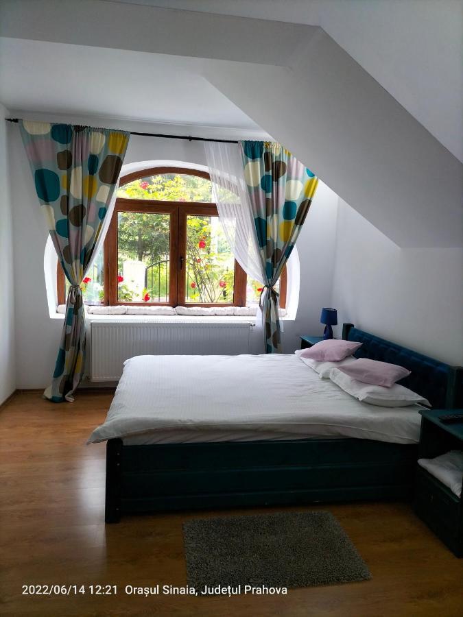Casa Olguta Appartamento Sinaia Esterno foto