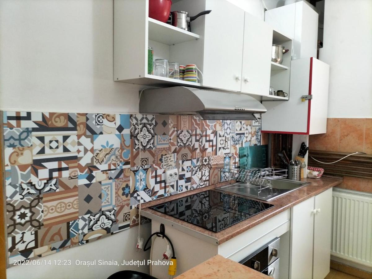 Casa Olguta Appartamento Sinaia Esterno foto
