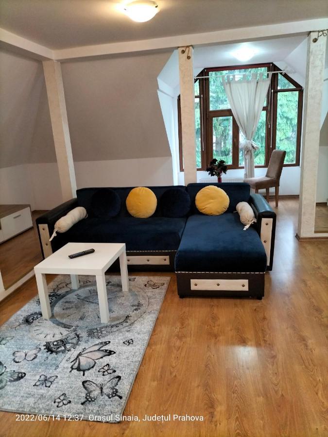 Casa Olguta Appartamento Sinaia Esterno foto