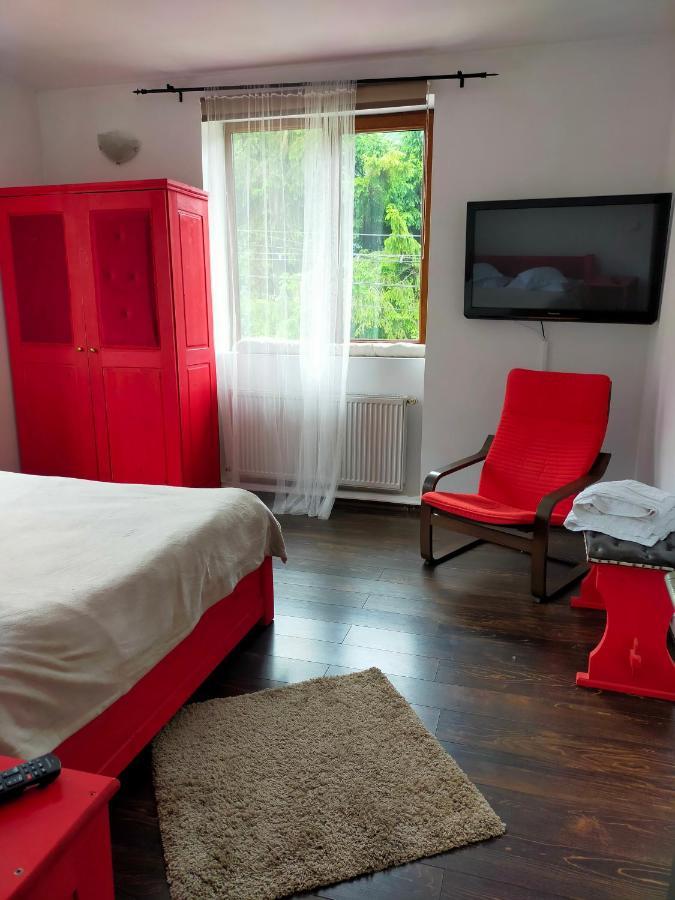 Casa Olguta Appartamento Sinaia Esterno foto