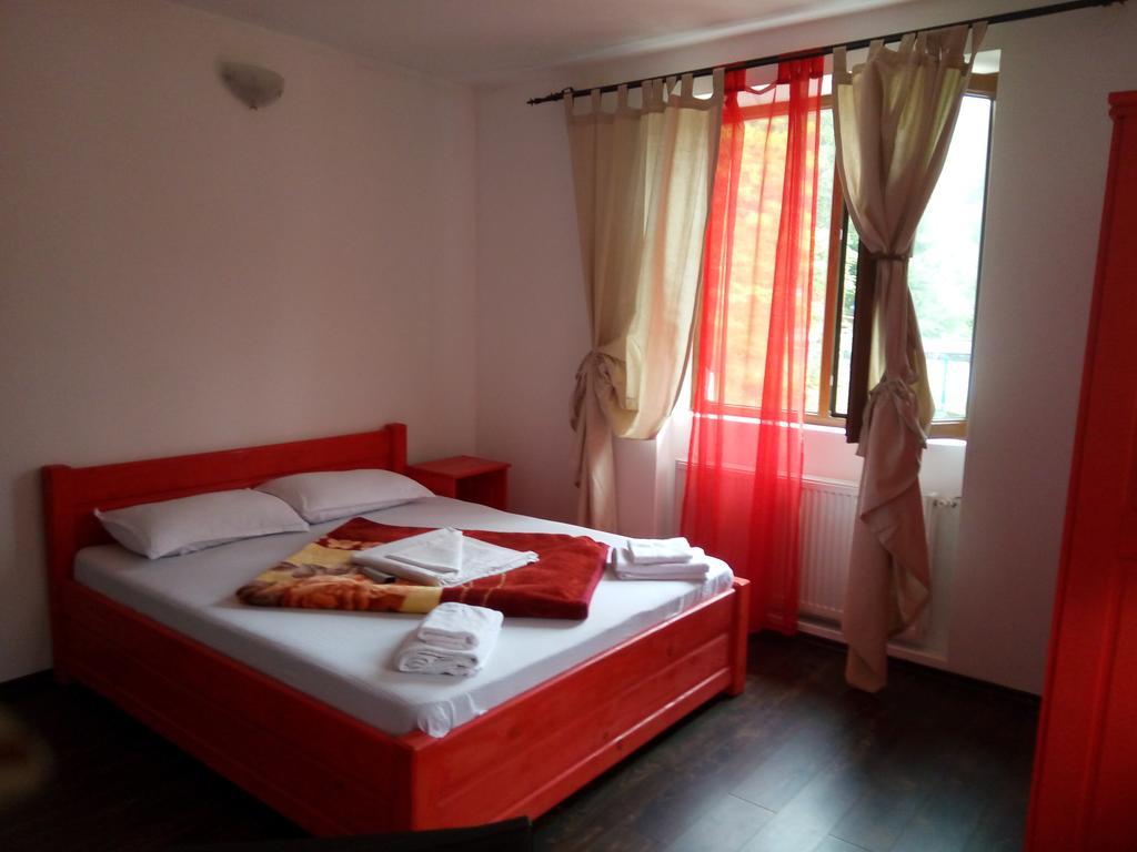 Casa Olguta Appartamento Sinaia Esterno foto