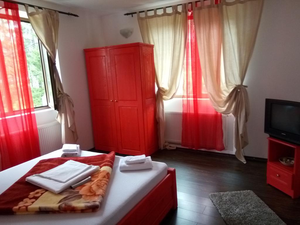 Casa Olguta Appartamento Sinaia Esterno foto