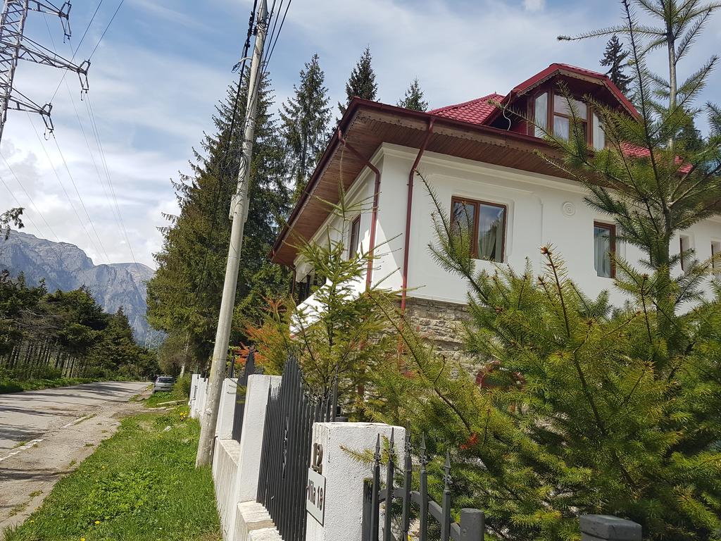 Casa Olguta Appartamento Sinaia Esterno foto