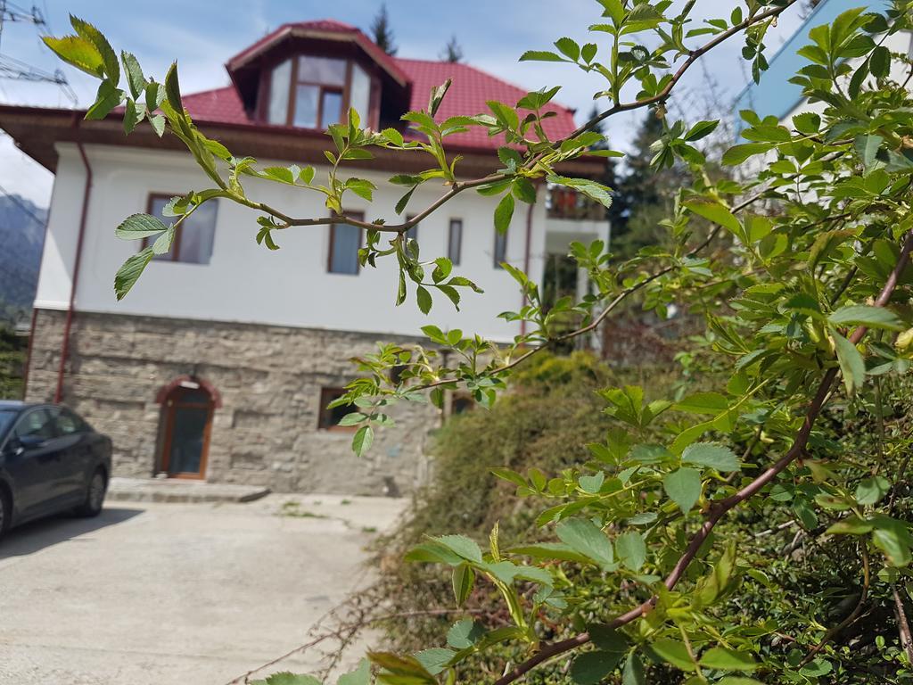 Casa Olguta Appartamento Sinaia Esterno foto