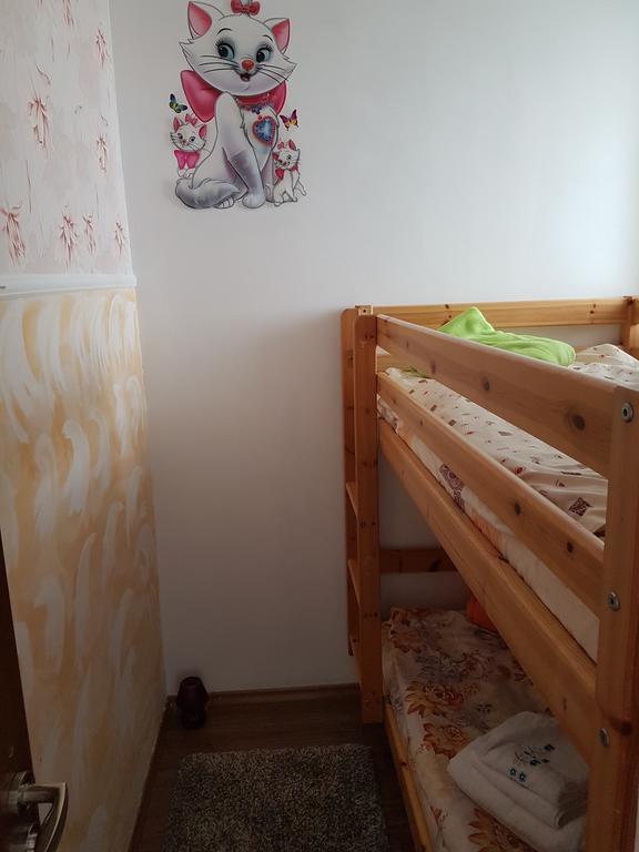 Casa Olguta Appartamento Sinaia Esterno foto